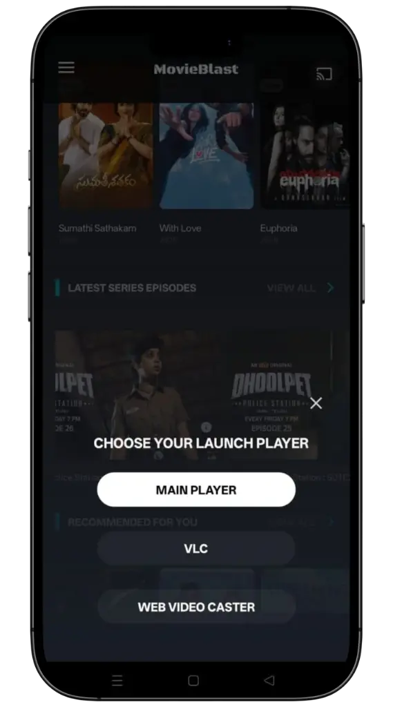 Supports Multiple Video Players
